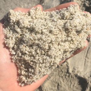Oly-Sand-#2