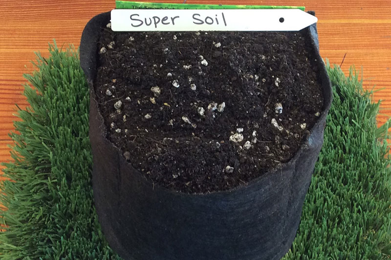 Soil & Compost – Evergreen Supply Online